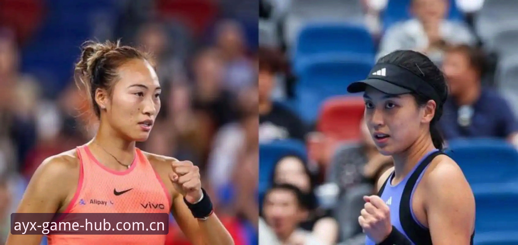 AYX体育安全吗哪个好 新手玩家分享:2026法网女单抽签结果出炉,中国金花郑钦文非种子出战,AYX体育观赛体验实录